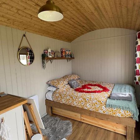 Shepherds Hut At Cedar Gables Lamberhurst Zewnętrze zdjęcie